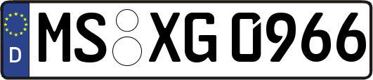 MS-XG0966