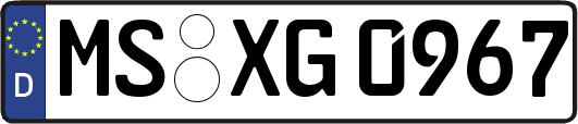 MS-XG0967