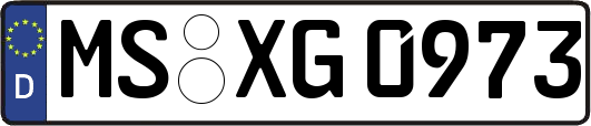 MS-XG0973