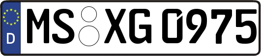 MS-XG0975