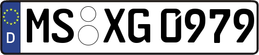 MS-XG0979