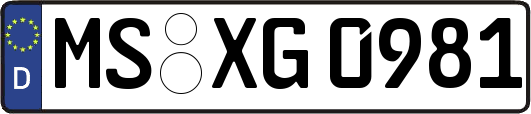 MS-XG0981