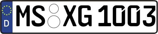 MS-XG1003