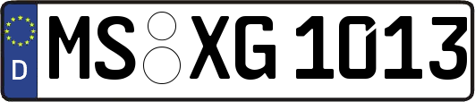 MS-XG1013