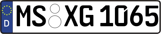 MS-XG1065