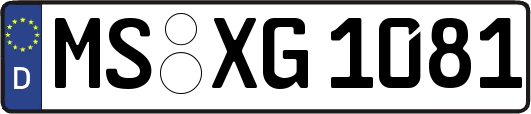 MS-XG1081