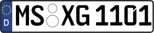 MS-XG1101