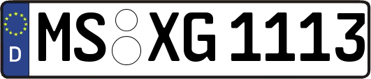 MS-XG1113