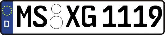 MS-XG1119