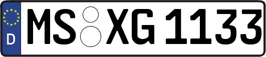 MS-XG1133