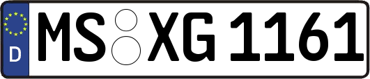 MS-XG1161