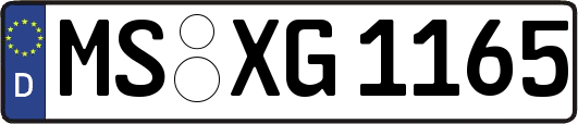 MS-XG1165