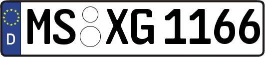 MS-XG1166