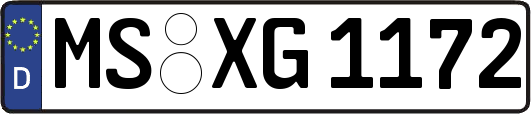 MS-XG1172