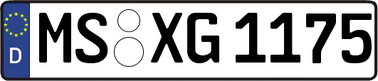 MS-XG1175