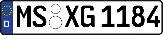 MS-XG1184