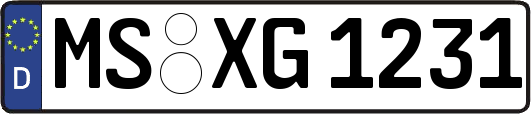 MS-XG1231