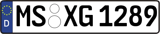 MS-XG1289
