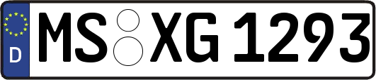 MS-XG1293