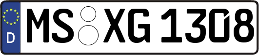 MS-XG1308