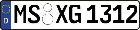 MS-XG1312