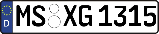MS-XG1315