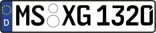 MS-XG1320