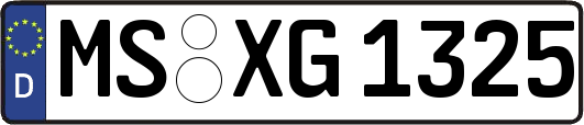 MS-XG1325