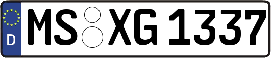 MS-XG1337