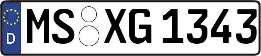 MS-XG1343