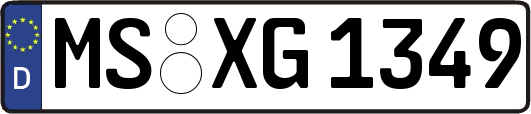 MS-XG1349