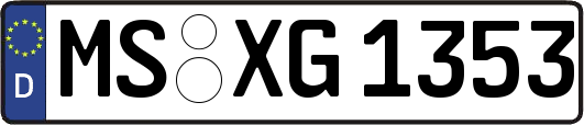 MS-XG1353