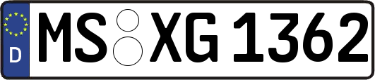 MS-XG1362