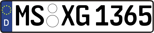 MS-XG1365