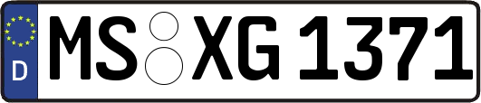 MS-XG1371