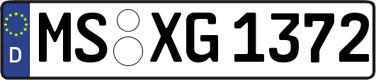 MS-XG1372