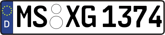 MS-XG1374