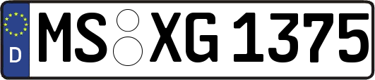 MS-XG1375