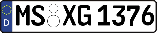 MS-XG1376