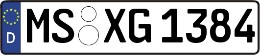 MS-XG1384