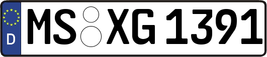 MS-XG1391