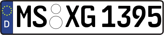 MS-XG1395