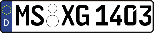 MS-XG1403