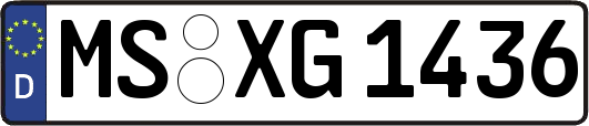 MS-XG1436