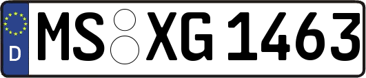 MS-XG1463
