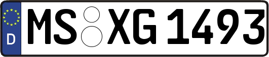 MS-XG1493