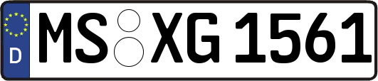 MS-XG1561