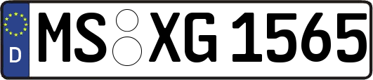 MS-XG1565