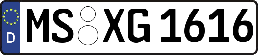 MS-XG1616