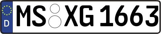 MS-XG1663